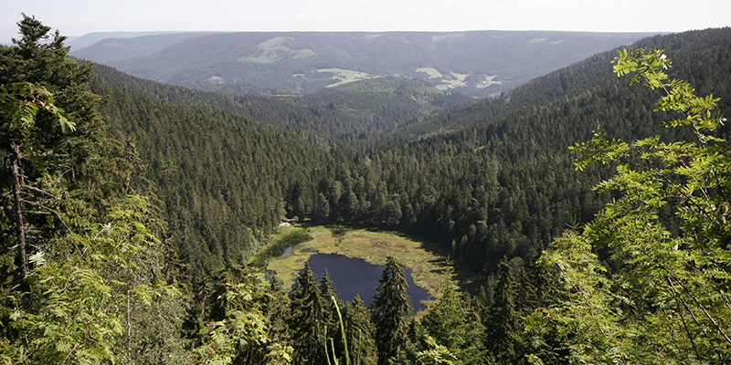 Nationalpark Schwarzwald, Hutzenbacher See